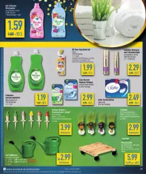 Gazetka promocyjna Diska - Gazetka - ważna od 27.04 do 27.04.2024 - strona 12 - produkty: aktionspreis, aktiv gel, citrus, Discreet, eis, elle, ente, flasche, geschirr, geschirrspülmittel, haarspray, lion, oder schaumfestiger, olive, palmolive, Rauch, reiniger, reis, rwe, schaumfestiger, spülmittel, Tasche, taschen, taschentücher, teller, Ti, tücher, wc ente, wc-reiniger, weichspüler, Wella, wellaflex, ZTE