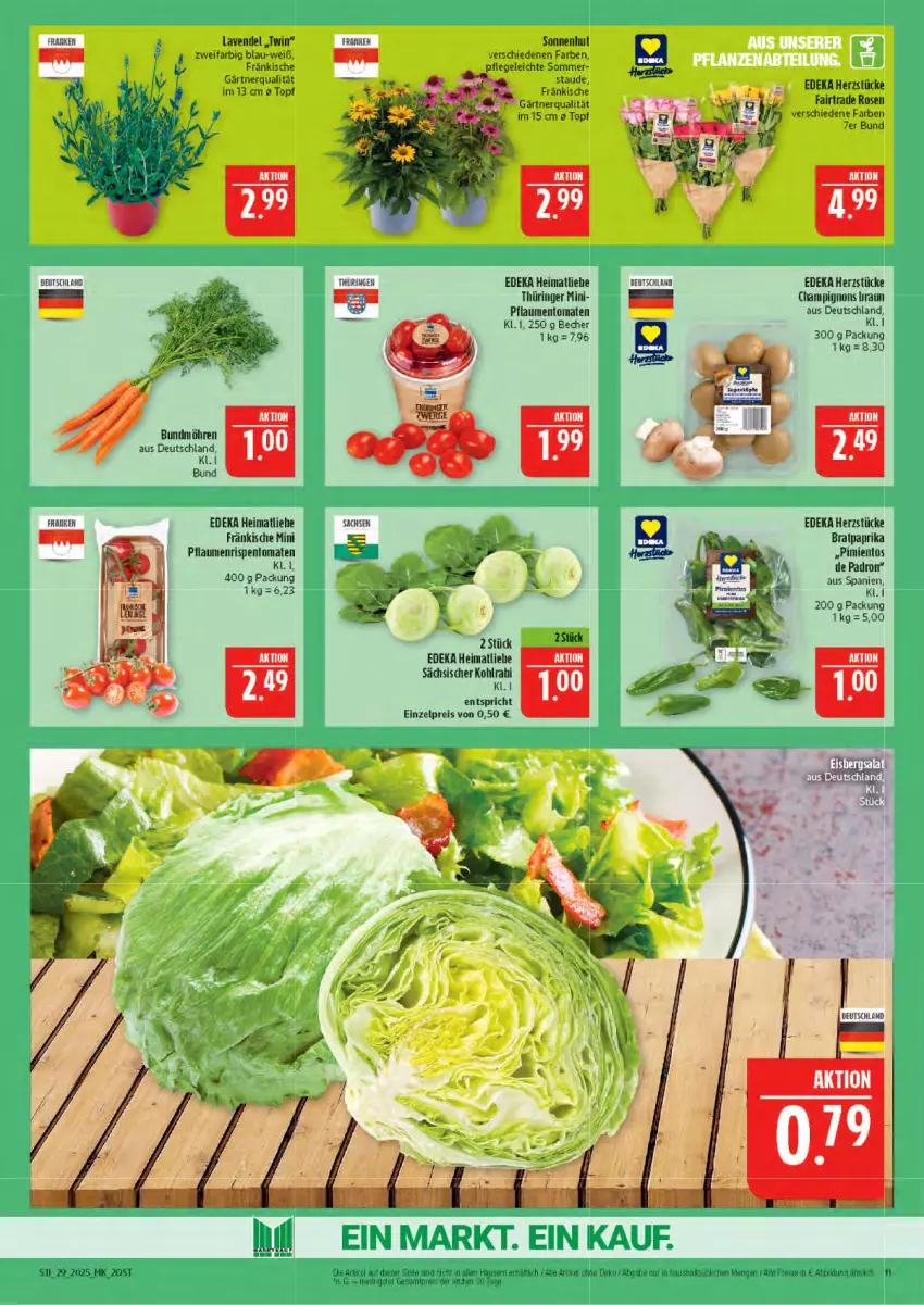 Aktueller Prospekt Marktkauf - Prospekt - von 13.07 bis 19.07.2025 - strona 11 - produkty: Becher, Bundmöhren, champignon, champignons, deka, eis, kohlrabi, lavendel, möhren, paprika, pflaume, pflaumen, reis, reiss, ring, rispentomaten, rosen, sac, Ti, tomate, tomaten, topf