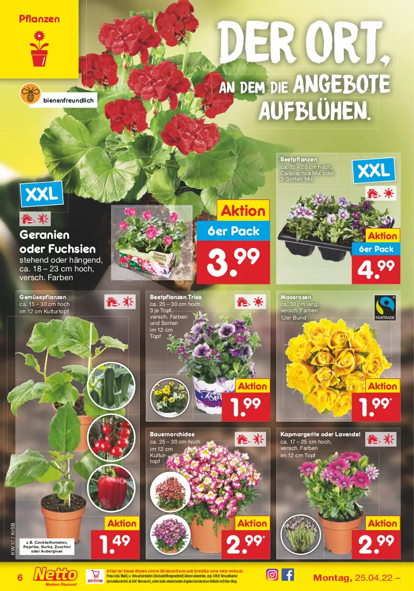 Aktueller Prospekt Netto Marken-Discount - Filial-Angebote - von 25.04 bis 30.04.2022 - strona 6 - produkty: angebot, angebote, aubergine, auberginen, auer, Bau, Bauer, beetpflanzen, calibrachoa, cocktail, eis, geranie, geranien, gin, gurke, kulturtopf, lavendel, ndk, orchidee, paprika, pflanze, pflanzen, reis, rosen, Ti, tomate, tomaten, topf, versandkostenfrei, zucchini