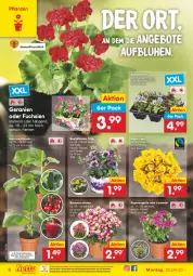 Gazetka promocyjna Netto Marken-Discount - Filial-Angebote - Gazetka - ważna od 30.04 do 30.04.2022 - strona 6 - produkty: angebot, angebote, aubergine, auberginen, auer, Bau, Bauer, beetpflanzen, calibrachoa, cocktail, eis, geranie, geranien, gin, gurke, kulturtopf, lavendel, ndk, orchidee, paprika, pflanze, pflanzen, reis, rosen, Ti, tomate, tomaten, topf, versandkostenfrei, zucchini