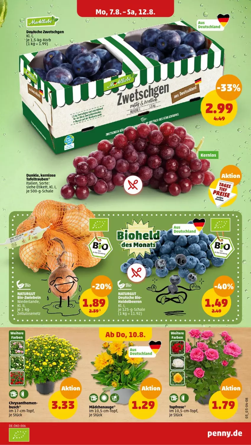 Aktueller Prospekt Penny - Prospekte - von 07.08 bis 12.08.2023 - strona 3 - produkty: chrysanthemen, korb, Schal, Schale, tafeltrauben, Ti, topf, trauben