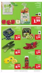 Gazetka promocyjna Marktkauf - Prospekt - Gazetka - ważna od 24.02 do 24.02.2024 - strona 10 - produkty: Bau, beere, beeren, bio, deka, edeka bio, gurke, heidelbeere, heidelbeeren, kiwi, Romatomaten, salat, Salatgurke, tafeläpfel, Ti, tomate, tomaten, zitrone