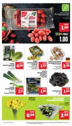 Gazetka promocyjna Marktkauf - Prospekt - Gazetka - ważna od 24.02 do 24.02.2024 - strona 9 - produkty: aktionspreis, braun, champignon, champignons, champignons braun, deka, eis, kartoffel, kartoffeln, kopfsalat, Lauchzwiebel, lauchzwiebeln, nuss, pflaume, pflaumen, reis, Romanasalat, salat, speisekartoffeln, Ti, tomate, tomaten, ZTE, zwiebel, zwiebeln