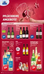 Gazetka promocyjna Getraenke Hoffmann - Prospekte - Gazetka - ważna od 10.08 do 10.08.2024 - strona 4 - produkty: alkohol, angebot, angebote, bio, bowle, brut, burger, burgunder, cider, classico, crémant de loire, eis, elle, frucht, grauburgunder, katlenburger, Kloster Eberbach, Meister, ohne alkohol, pfirsich, Pinot, pinot grigio, riesling, somersby, Ti, waldmeister, wein, weine, Weißburgunder