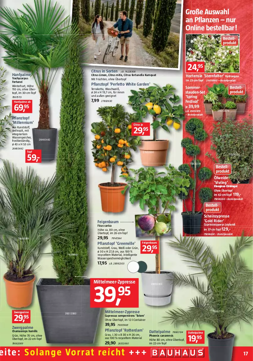 Aktueller Prospekt Bauhaus - Prospekte - von 02.04 bis 30.04.2022 - strona 17 - produkty: aeg, Bau, citrus, Container, ente, Feigen, Ficus, früchte, früchten, hama, heinz, hortensie, hydrangea, Intel, limo, pflanze, pflanzen, Pflanztopf, Ria, ring, stauden, tee, Ti, topf, übertopf, wasser