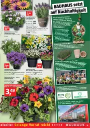 Gazetka promocyjna Bauhaus - Prospekte - Gazetka - ważna od 30.04 do 30.04.2022 - strona 15 - produkty: asti, Bau, bio, Bio-Gemüse, blume, brie, calibrachoa, Campanula, eis, erde, Garten, gin, Holz, kartoffel, Körbchen, lavendel, lion, pflanze, pflanzen, Pflanztopf, Ria, stauden, Stier, Ti, tomate, tomaten, topf, übertopf, wasser, zauberglöckchen