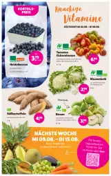 Gazetka promocyjna Denns Biomarkt - Prospekte - Gazetka - ważna od 15.08 do 15.08.2023 - strona 2 - produkty: angebot, angebote, beere, beeren, Birnen, blume, blumen, blumenkohl, eis, elle, heidelbeere, heidelbeeren, kartoffel, kartoffeln, reis, Schal, Schale, Süßkartoffeln, Ti, tomate, tomaten, vita, Vitamine, vorteilspreis