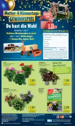 Gazetka promocyjna Diska - Gazetka - ważna od 27.04 do 27.04.2024 - strona 2 - produkty: aktionspreis, angebot, angebote, Astra, blume, blumen, blumenerde, bollerwagen, burger, deka, eis, ente, erde, Garten, geranie, LG, petunie, pflanze, Rauch, reis, Ria, ring, sac, Surf, telefon, Ti, topf, uhr