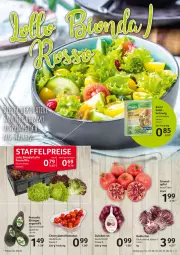 Gazetka promocyjna Selgros - Food - Gazetka - ważna od 24.08 do 24.08.2022 - strona 3 - produkty: apfel, avocado, eis, grana, knorr, Radicchio, Rana, reis, salat, Ti, zwiebel