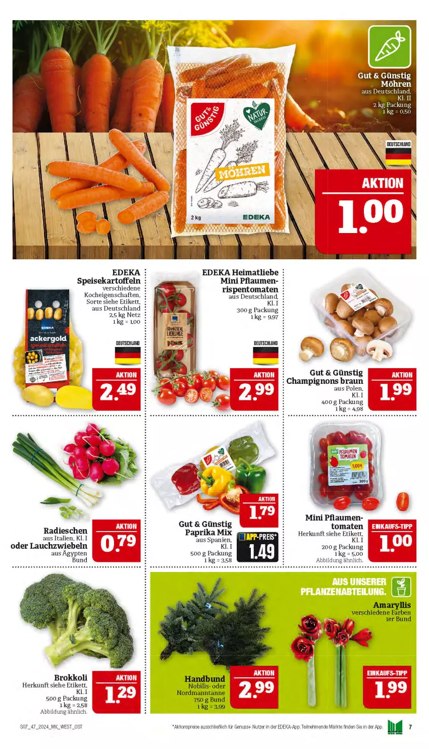 Aktueller Prospekt Marktkauf - Prospekt - von 17.11 bis 23.11.2024 - strona 7 - produkty: aktionspreis, braun, brokkoli, champignon, champignons, champignons braun, deka, eis, kartoffel, kartoffeln, Lauchzwiebel, lauchzwiebeln, nuss, paprika, paprika mix, pflaume, pflaumen, radieschen, reis, rispentomaten, speisekartoffeln, Ti, tomate, tomaten, zwiebel, zwiebeln