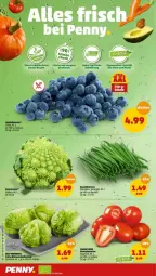 Gazetka promocyjna Penny - Prospekte - Gazetka - ważna od 29.01 do 29.01.2022 - strona 2 - produkty: beere, beeren, beutel, bohne, bohnen, Buschbohnen, heidelbeere, heidelbeeren, Romatomaten, Schal, Schale, tomate, tomaten