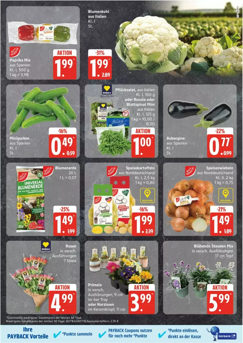 Aktueller Prospekt Edeka - Prospekte - von 10.03 bis 15.03.2025 - strona 7 - produkty: blattspinat, cola, coupon, coupons, eis, kartoffel, kartoffeln, Narzissen, paprika, paprika mix, payback, reis, rosen, rucola, speisekartoffeln, Speisezwiebeln, spinat, stauden, tesa, Ti, topf, ZTE, zwiebel, zwiebeln