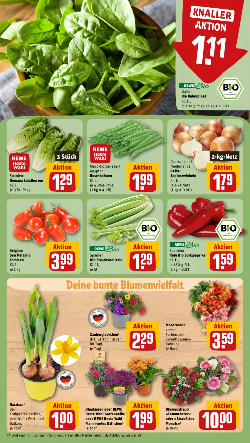 Aktueller Prospekt Rewe - Prospekte - von 02.04 bis 06.04.2024 - strona 7 - produkty: Babyspinat, bio, blume, blumen, Blumenstrauß, bohne, bohnen, Buschbohnen, eis, elle, Garten, gartennelke, kissen, lamm, LG, paprika, rewe beste wahl, rosen, salat, salatherzen, Speisezwiebeln, spinat, Spitzpaprika, stauden, Ti, tomate, tomaten, topf, zauberglöckchen, zwiebel, zwiebeln