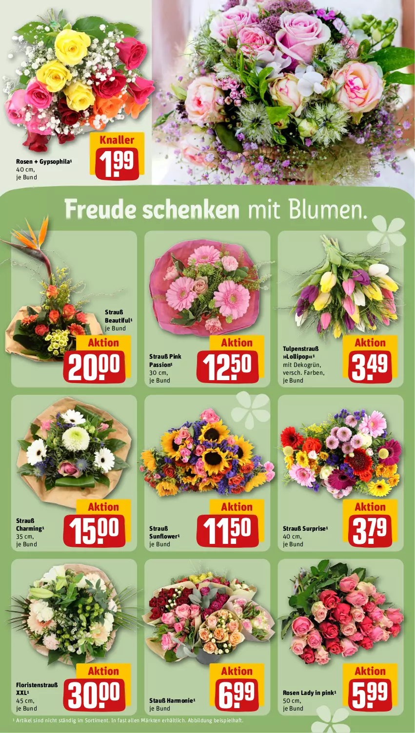 Aktueller Prospekt Rewe - Prospekte - von 02.04 bis 06.04.2024 - strona 8 - produkty: bio, blume, blumen, eis, reis, rosen, Ti