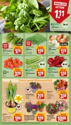 Gazetka promocyjna Rewe - Prospekte - Gazetka - ważna od 06.04 do 06.04.2024 - strona 7 - produkty: Babyspinat, bio, blume, blumen, Blumenstrauß, bohne, bohnen, Buschbohnen, eis, elle, Garten, gartennelke, kissen, lamm, LG, paprika, rewe beste wahl, rosen, salat, salatherzen, Speisezwiebeln, spinat, Spitzpaprika, stauden, Ti, tomate, tomaten, topf, zauberglöckchen, zwiebel, zwiebeln