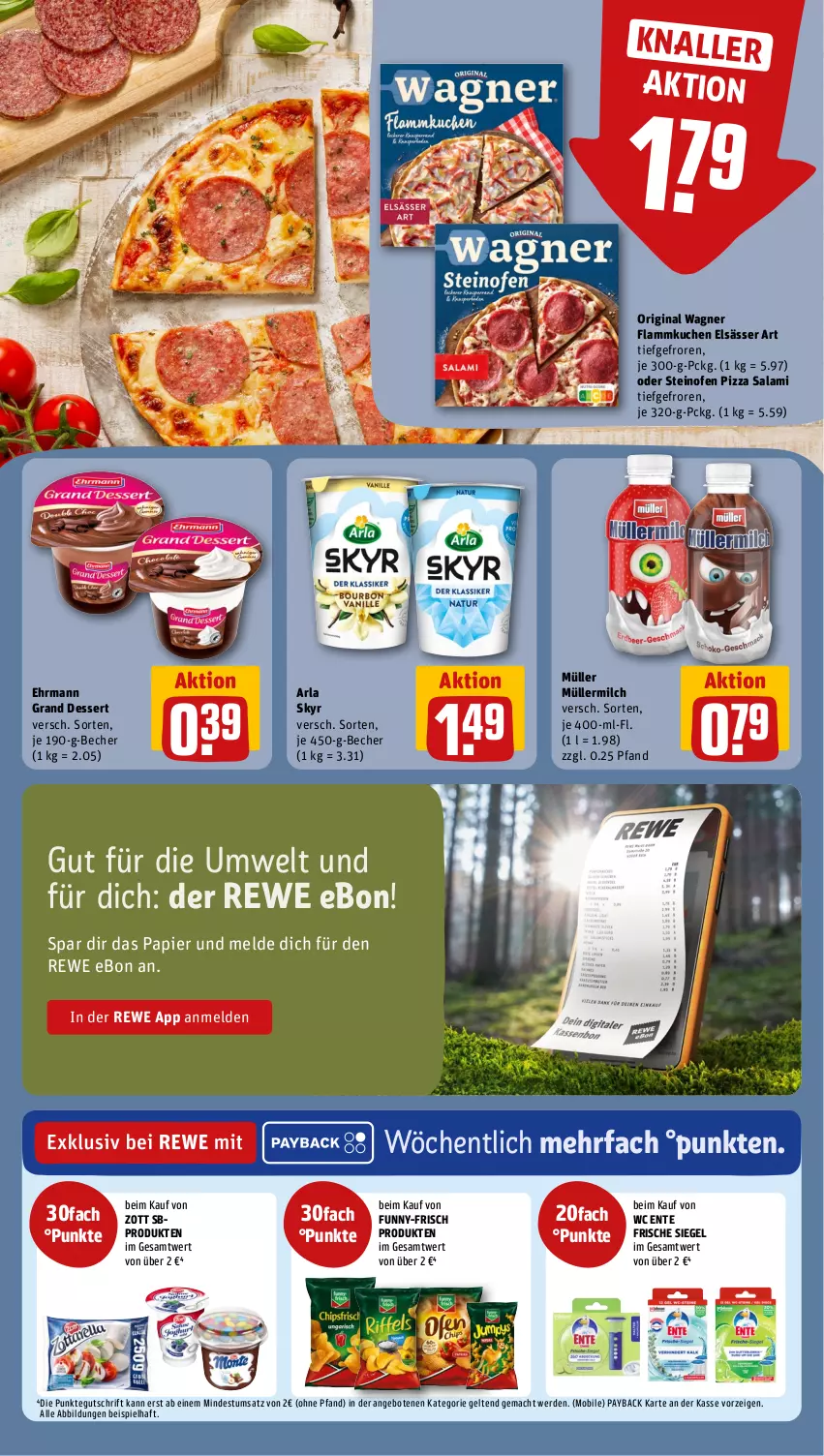 Aktueller Prospekt Rewe - Prospekte - von 21.10 bis 26.10.2024 - strona 10 - produkty: angebot, angebote, arla, arla skyr, Becher, dessert, ehrmann, Ehrmann Grand Dessert, eis, elsässer art, ente, erde, flammkuchen, funny-frisch, gin, kuchen, lamm, mac, milch, Müller, müllermilch, Ofen, original wagner, papier, payback, pizza, salami, Skyr, steinofen, steinofen pizza, Ti, wagner, wc ente, zott