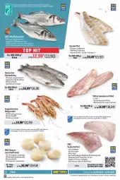 Gazetka promocyjna Metro - Food-NonFood - Gazetka - ważna od 12.06 do 12.06.2024 - strona 6 - produkty: Abtei, angebot, angebote, aqua, backfisch, Becher, beutel, eis, elle, feinkost, filet, filets, fisch, fische, Fischer, Fischfeinkost, fleisch, frischfisch, garnelen, grill, ideal zum grillen, lachs, lachsfilet, lack, mac, Metro, Pangasius, Räucherlachs, reis, Ria, Saibling, Schal, Schale, Schere, schott, seelachsfilet, Ti, tisch, Wild, wolfsbarsch, Zander