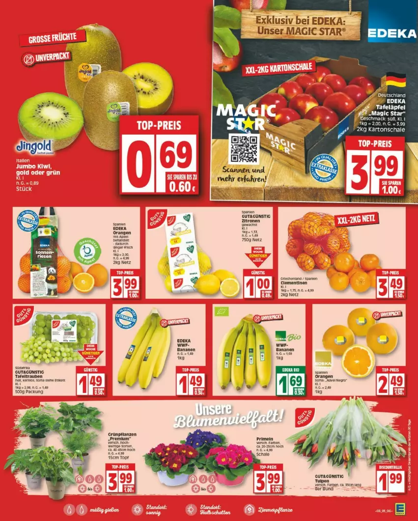 Aktueller Prospekt Edeka - Prospekte - von 15.01 bis 20.01.2024 - strona 5 - produkty: clementinen, deka, elle, korn, orange, orangen, pflanze, pflanzen, tee, Ti, topf, trauben, zitrone, zitronen