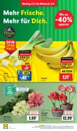 Gazetka promocyjna Lidl - Aktionsprospekt - Gazetka - ważna od 11.11 do 11.11.2023 - strona 2 - produkty: angebot, banane, bananen, Blüte, coupon, eis, korb, ndk, pflanze, pflanzen, reis, rosen, Schal, Schale, Ti
