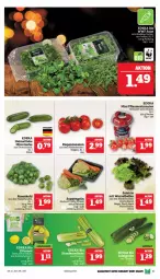 Gazetka promocyjna Marktkauf - Prospekt - Gazetka - ważna od 23.12 do 23.12.2023 - strona 9 - produkty: ball, Becher, bio, deka, edeka bio, gurke, LG, pflaume, pflaumen, rispentomaten, rosen, Rosenkohl, salat, suppe, suppen, Ti, tomate, tomaten