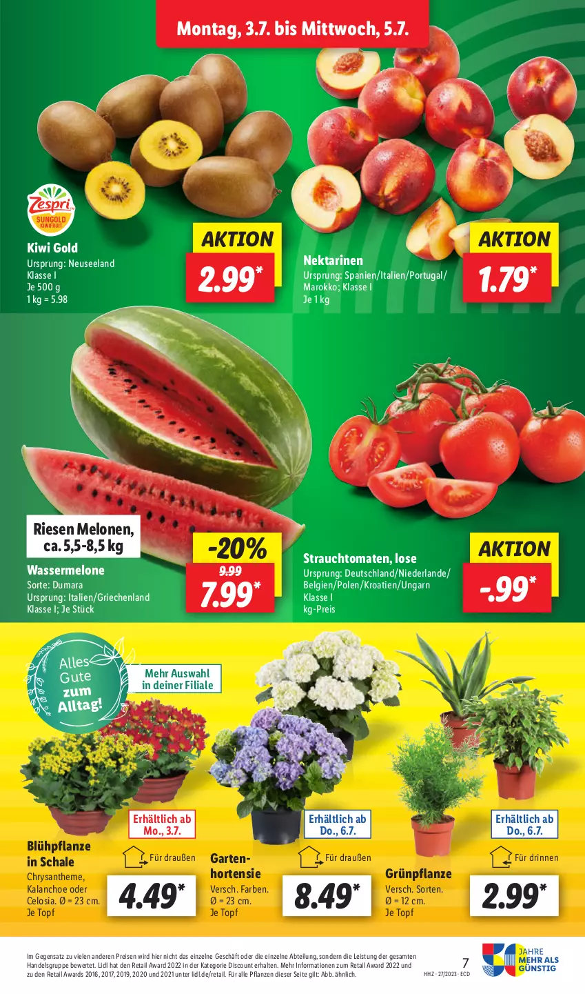 Aktueller Prospekt Lidl - Aktionsprospekt - von 03.07 bis 08.07.2023 - strona 7 - produkty: Abtei, discount, eis, Elan, Garten, hortensie, HP, Kalanchoe, kiwi, Kiwi Gold, LG, melone, melonen, Nektar, nektarinen, pflanze, pflanzen, Rauch, reis, Schal, Schale, strauchtomaten, Ti, tomate, tomaten, topf, wasser, wassermelone