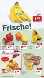 Gazetka promocyjna Famila - Prospekte - Gazetka - ważna od 26.10 do 26.10.2024 - strona 3 - produkty: banane, bananen, Becher, chiquita, eis, grana, Granatäpfel, Kaki, kiwi, Rana, reis, sac, Schal, Schale, smoothie, tafeläpfel, Ti, ZTE