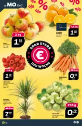 Gazetka promocyjna Netto - Angebote ab Montag - Gazetka - ważna od 15.01 do 15.01.2022 - strona 4 - produkty: beere, beeren, Bundmöhren, gin, himbeer, himbeere, himbeeren, möhren, orange, orangen, rosen, Rosenkohl, Ti, topf