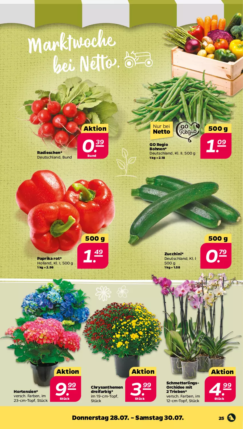 Aktueller Prospekt Netto - Woche 30 - von 25.07 bis 30.07.2022 - strona 25 - produkty: bohne, bohnen, chrysanthemen, hortensie, hortensien, Mett, orchidee, paprika, paprika rot, radieschen, Schmetterling, schmetterlingsorchidee, Ti, topf, zucchini