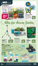 Gazetka promocyjna Netto - Woche 30 - Gazetka - ważna od 30.07 do 30.07.2022 - strona 16 - produkty: auer, blume, blumen, dekoration, dünger, Garten, Krebs, Marderabwehr, Maus, Mett, pflanze, pflanzen, rasen, rasendünger, Ria, Schmetterling, Teleskop, Ti, topf, übertopf, Untersetzer, Wanddeko, ZTE