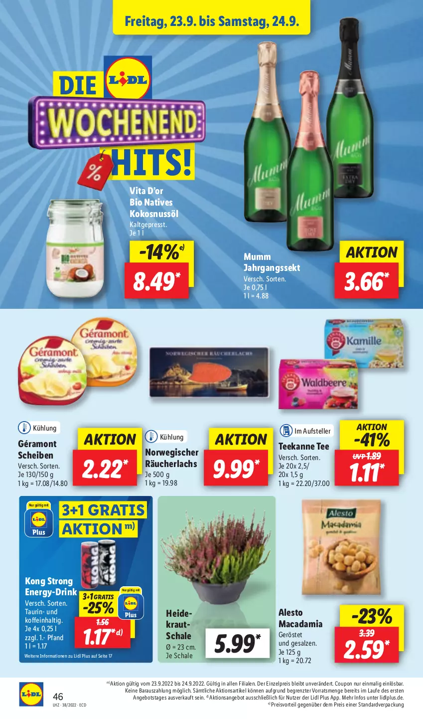 Aktueller Prospekt Lidl - Aktionsprospekt - von 19.09 bis 24.09.2022 - strona 46 - produkty: alesto, angebot, bio, coupon, drink, eis, elle, géramont, jahrgangssekt, kokos, kokosnuss, Kokosnussöl, Kraut, lachs, mac, macadamia, mumm, nuss, preisvorteil, Räucherlachs, reis, rwe, salz, Schal, Schale, sekt, tee, teekanne, teller, Ti, vita, ZTE