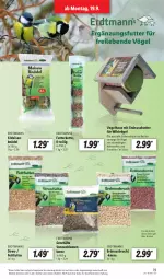 Gazetka promocyjna Lidl - Aktionsprospekt - Gazetka - ważna od 24.09 do 24.09.2022 - strona 19 - produkty: angebot, Becher, blume, blumen, butter, dell, eis, elle, erdnuss, Erdnussbutter, Kette, Knödel, Meisenknödel, Mode, nuss, reis, sonnenblume, sonnenblumen, Sonnenblumenkerne, Spezi, Ti, Wild, ZTE