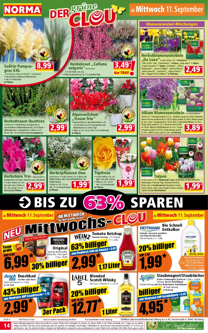 Aktueller Prospekt Norma - Norma - von 09.09 bis 16.09.2024 - strona 14 - produkty: Alpenveilchen, Bad, Bebe, bio, blended scotch, blended scotch whisky, blume, blumen, Blüte, Bodentücher, bohne, bohnen, bohnenkaffee, brandt, Clin, Draht, duschbad, eis, Elan, elle, entkalker, flasche, gin, Heidekraut, Heu, kaffee, ketchup, Kraut, kulturtopf, lebensmittel, LG, löslicher bohnenkaffee, messer, Narzissen, orange, pflanze, pflanzen, reis, Ria, rum, scotch, scotch whisky, sim, staubmagnet, tasse, Ti, tomate, tomaten, tomaten ketchup, tomato ketchup, topf, tücher, wedel, whisky, zwiebel, zwiebeln