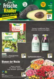 Gazetka promocyjna Edeka - Angebote der Woche - Gazetka - ważna od 27.08 do 27.08.2022 - strona 5 - produkty: angebot, avocado, avocados, beutel, blume, blumen, elle, erde, flasche, salat, salatsauce, sauce, Sylter, Ti, Zum Dorfkrug