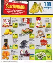 Gazetka promocyjna Diska - Prospekte - Gazetka - ważna od 28.01 do 28.01.2023 - strona 3 - produkty: aktionspreis, ananas, banane, bananen, beere, beeren, braun, burger, champignon, champignons, champignons braun, deka, eis, fisch, heidelbeere, heidelbeeren, kartoffel, kartoffeln, mandarine, mandarinen, Narzissen, orange, orangen, pflaume, pflaumen, Pflaumen-Tomaten, reis, Schal, Schale, speisekartoffeln, suppe, suppen, tafeläpfel, tafeltrauben, Ti, tomate, tomaten, trauben
