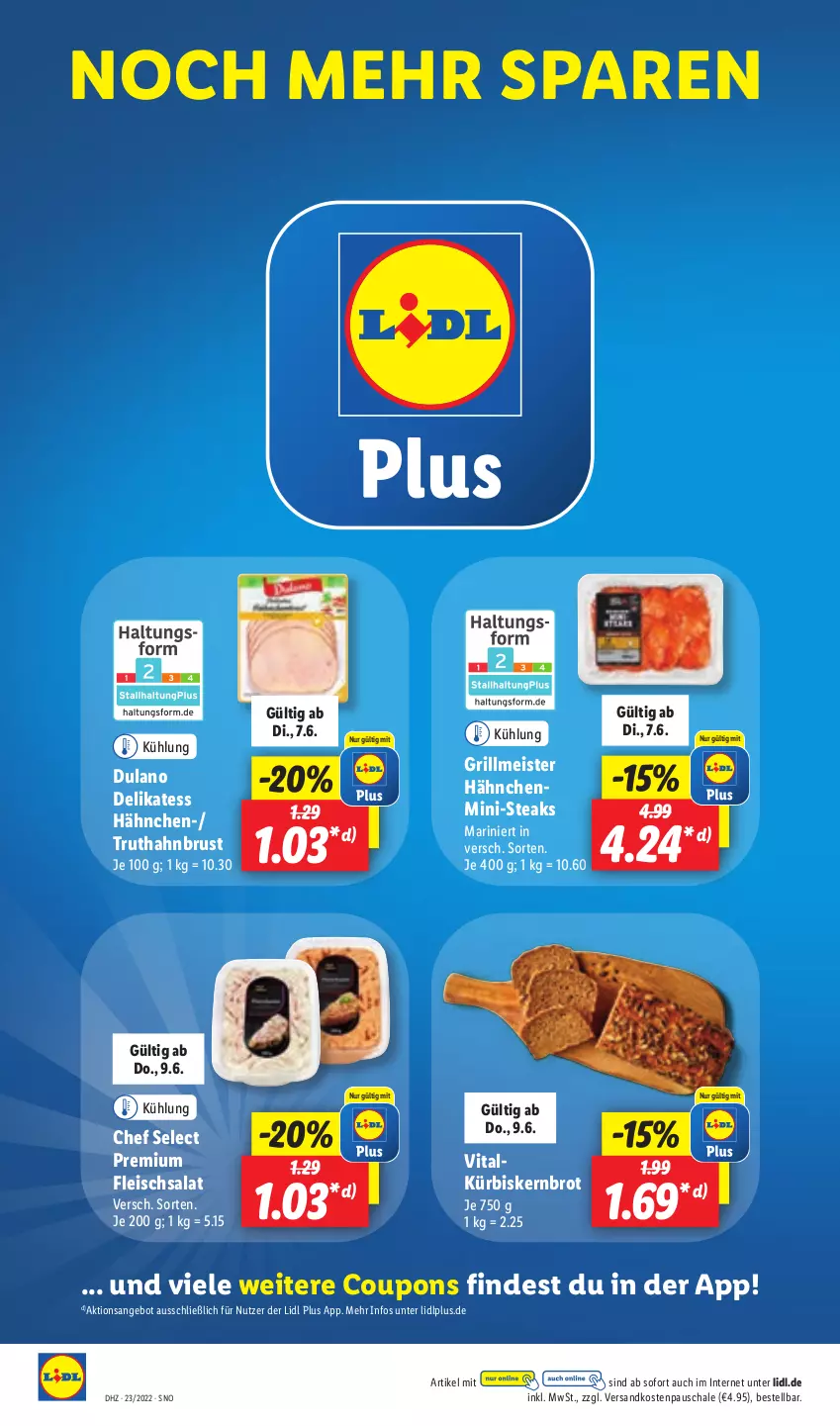 Aktueller Prospekt Lidl - Aktionsprospekt - von 07.06 bis 11.06.2022 - strona 60 - produkty: angebot, brot, coupon, coupons, dulano, eis, fleisch, fleischsalat, grill, Kürbis, Meister, ndk, salat, Schal, Schale, steak, steaks, Ti, truthahn, vita