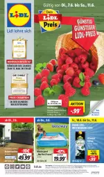 Gazetka promocyjna Lidl - Aktionsprospekt - Gazetka - ważna od 11.06 do 11.06.2022 - strona 1 - produkty: aktionspreis, angebot, angebote, Bad, beere, beeren, bestway, bio, champion, discount, eis, eistee, erde, himbeer, himbeere, himbeeren, Kinder, Kinderpool, lebensmittel, LG, Liege, pfanne, Pfanner, pool, pril, Rauch, reis, Seitenmarkise, tee, Ti, ZTE