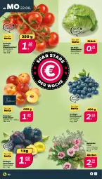 Gazetka promocyjna Netto - Woche 34 - Gazetka - ważna od 27.08 do 27.08.2022 - strona 2 - produkty: beere, beeren, eis, eisbergsalat, heidelbeere, heidelbeeren, Nektar, nektarinen, rispentomaten, salat, Ti, tomate, tomaten, topf