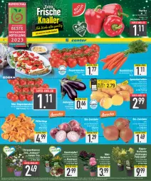 Gazetka promocyjna E Center - Angebote der Woche - Gazetka - ważna od 12.08 do 12.08.2023 - strona 6 - produkty: Abtei, Astra, aubergine, bio, Blüte, Bundmöhren, chili, chrysanthemen, coupon, deka, eis, ente, frucht, früchte, früchten, Garten, gin, Hauswurz, hortensie, hydrangea, Hydrangea paniculata, kartoffel, kartoffeln, lebensmittel, LG, mehl, mini-rispentomaten, möhren, nuss, obst, paprika, paprika rot, Pfifferlinge, pflanze, pflanzen, reis, ring, rispentomaten, rosen, rum, Schal, Schale, speisekartoffeln, speyer, Stiegl, super-knüller, Ti, tomate, tomaten, topf, wagner, Wild, Zipfer, zwiebel, zwiebeln