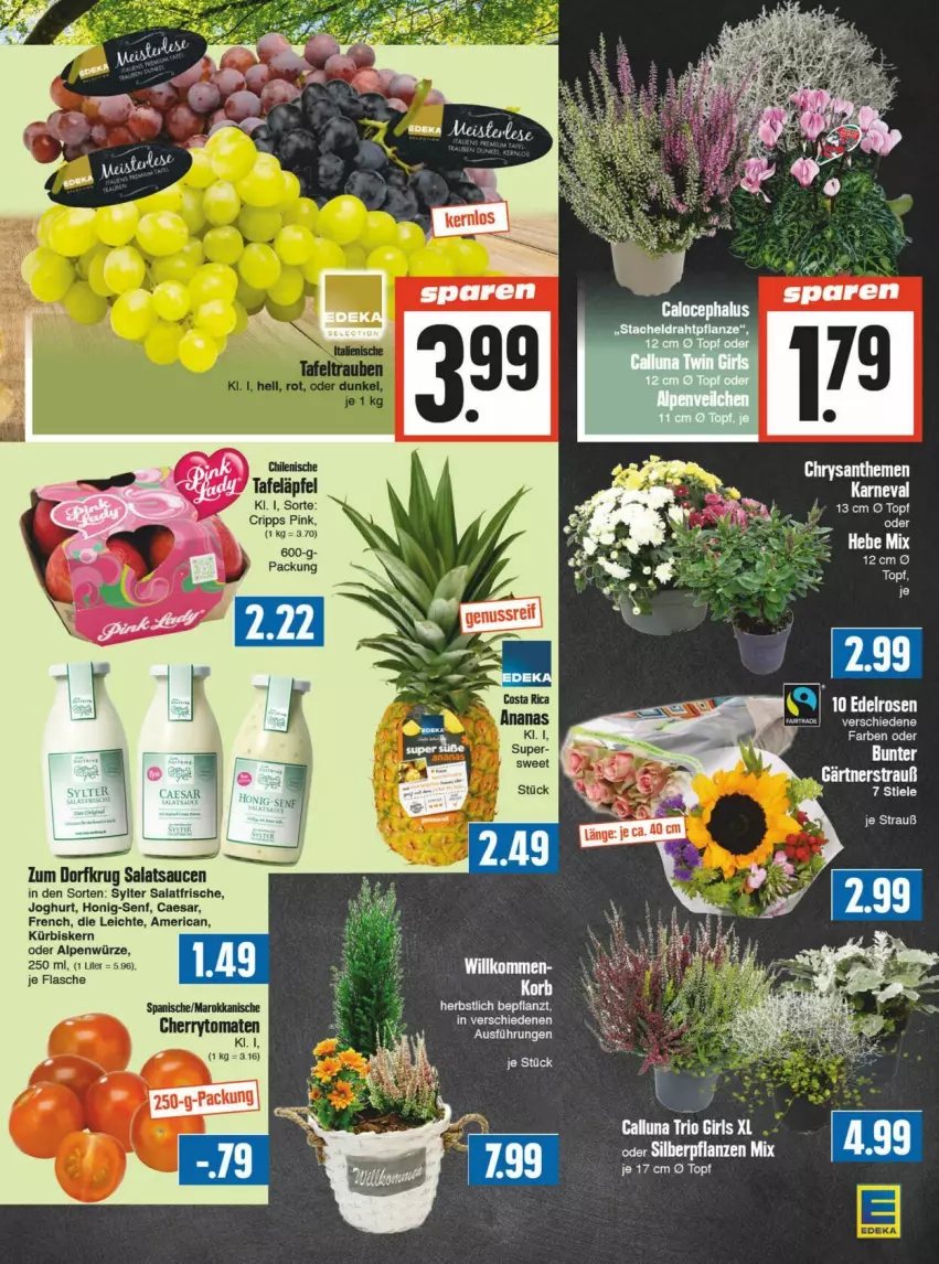 Aktueller Prospekt Edeka - Prospekte - von 21.09 bis 28.09.2024 - strona 5 - produkty: chrysanthemen, flasche, honig, Honig-Senf, joghur, joghurt, Kürbis, salat, salatsauce, sauce, saucen, senf, Sylter, tafeläpfel, topf, Zum Dorfkrug