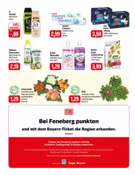 Gazetka promocyjna Feneberg - Prospekte - Gazetka - ważna od 02.03 do 02.03.2024 - strona 10 - produkty: duschgel, eis, elle, fa duschgel, felix, flasche, fleisch, heitmann, Hundetrockennahrung, katzennahrung, LG, meridol, pasta, reis, Softlan, topf, Trockennahrung, weichspüler, zahnpasta