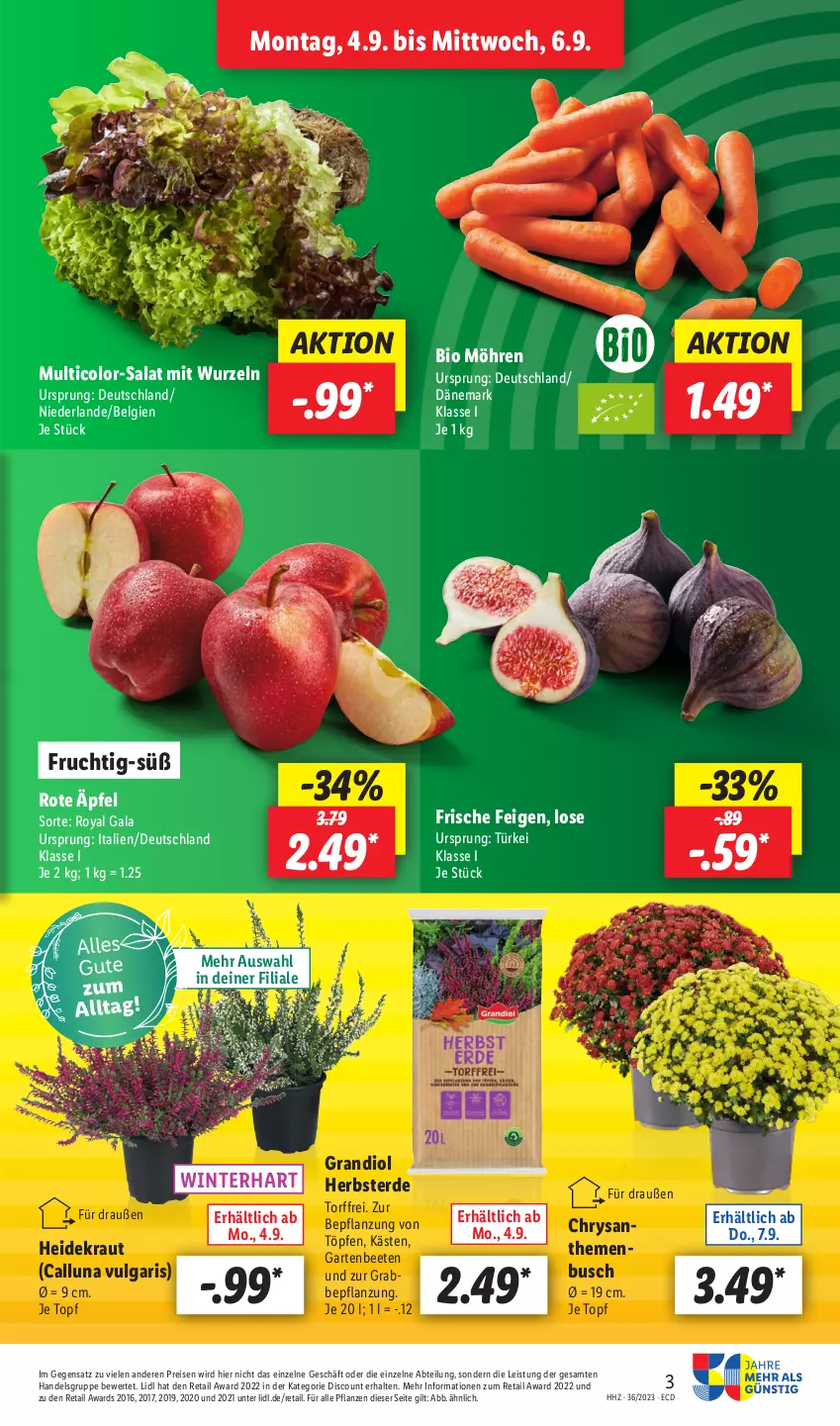 Aktueller Prospekt Lidl - Aktionsprospekt - von 04.09 bis 09.09.2023 - strona 3 - produkty: Abtei, bio, chrysanthemen, discount, eis, erde, Feigen, frucht, Garten, Heidekraut, Kraut, LG, möhren, pflanze, pflanzen, reis, salat, Ti, topf