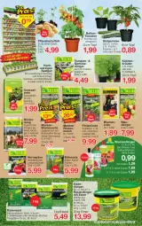 Gazetka promocyjna Jawoll - Prospekte - Gazetka - ważna od 08.04 do 08.04.2023 - strona 11 - produkty: balkonpflanzen, berliner, beutel, blume, blumen, blumenerde, dünger, eimer, eis, erde, frucht, Garten, Gemüsedünger, gurke, gurken, HP, kartoffel, kartoffeln, kräuter, küche, Küchen, paprika, peperoni, Peroni, petersilie, pflanze, pflanzen, Pflanzkartoffeln, rasen, rasendünger, rind, rindenmulch, rinder, sac, salz, schnittlauch, Spezi, Sport, Ti, tomate, tomaten, topf, zucchini