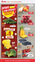 Gazetka promocyjna Famila - Prospekte - Gazetka - ważna od 16.07 do 16.07.2022 - strona 2 - produkty: ananas, beere, beeren, beutel, Birnen, broccoli, eis, elle, erdbeere, erdbeeren, fleisch, forelle, gurke, gurken, heidelbeere, heidelbeeren, Nektar, nektarinen, reis, rel, Schal, Schale, tafelbirnen, Ti, zitrone, zitronen