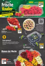 Gazetka promocyjna Edeka - Angebote der Woche - Gazetka - ważna od 03.09 do 03.09.2022 - strona 6 - produkty: angebot, beere, beeren, blume, blumen, discount, eis, früchte, heidelbeere, heidelbeeren, johannisbeere, Johannisbeeren, Käse, käsekuchen, kuchen, reis, saft, Schal, Schale, Ti, tisch