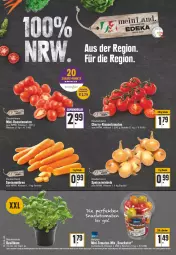 Gazetka promocyjna Edeka - Angebote der Woche - Gazetka - ważna od 03.09 do 03.09.2022 - strona 8 - produkty: basilikum, Becher, beutel, eis, LG, möhren, rispentomaten, Romatomaten, Schal, Schale, snack, speisemöhren, tee, Ti, tomate, tomaten, topf