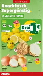 Gazetka promocyjna Penny - Prospekte - Gazetka - ważna od 23.11 do 23.11.2024 - strona 6 - produkty: bio, bio-zitronen, Gemüsezwiebel, natur, zitrone, zitronen, zwiebel, zwiebeln