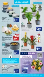 Gazetka promocyjna Aldi Nord - Aldi-Vorschau - Gazetka - ważna od 06.08 do 06.08.2022 - strona 15 - produkty: aldi, aufbewahrungsbox, avocado, avocados, banane, bananen, Behälter, blume, blumen, Blüte, Brei, dell, edelstahl, eis, elle, erde, hero, knoblauch, küche, Küchen, kulturtopf, LG, messer, mikrowelle, Mode, obst, pflanze, pflanzen, reis, Ria, schüssel, spülmaschinen, Ti, topf, übertopf, uhr, zitrone, zitronen