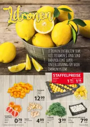 Gazetka promocyjna Selgros - Food - Gazetka - ważna od 12.10 do 12.10.2022 - strona 4 - produkty: champignon, champignons, eis, grapefruit, ingwer, reis, Ti, vita, Vitamin C