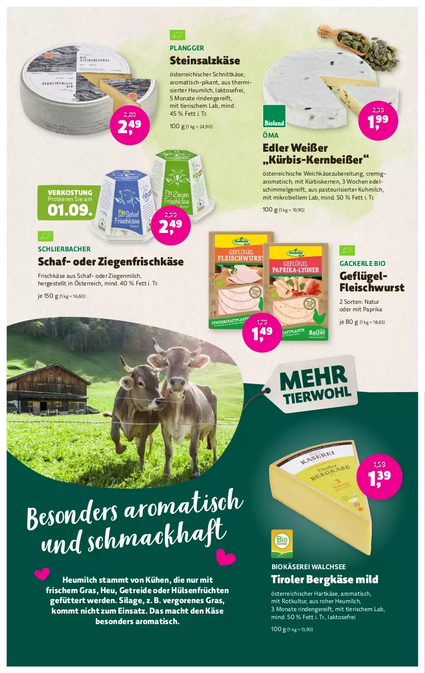 Aktueller Prospekt Denns Biomarkt - Prospekte - von 30.08 bis 12.09.2023 - strona 6 - produkty: Bergkäse, bier, Biere, bio, eis, elle, erde, fleisch, fleischwurst, frischkäse, früchte, früchten, Geflügel, hartkäse, Heu, heumilch, hülsenfrüchte, ilag, Käse, Kürbis, kürbiskerne, mac, milch, mit paprika, natur, österreichischer schnittkäse, paprika, rind, salz, Schlierbacher, schnittkäse, senf, Steinsalzkäse, Ti, tisch, weichkäse, wurst, ziegenfrischkäse