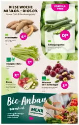 Gazetka promocyjna Denns Biomarkt - Prospekte - Gazetka - ważna od 12.09 do 12.09.2023 - strona 3 - produkty: angebot, angebote, Bau, bio, Birnen, eis, elle, frucht, gurke, gurken, kartoffel, LG, obst, pflaume, pflaumen, reis, Stangensellerie, Ti, vorteilspreis